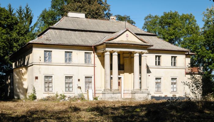 Schloss Puszcza Mariańska 2