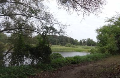 Schloss kaufen Łęg, Großpolen:  Park