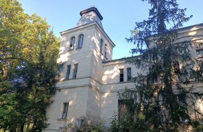 Herrenhaus/Gutshaus kaufen Goniembice, Dwór w Goniembicach, Großpolen, Foto 2/8