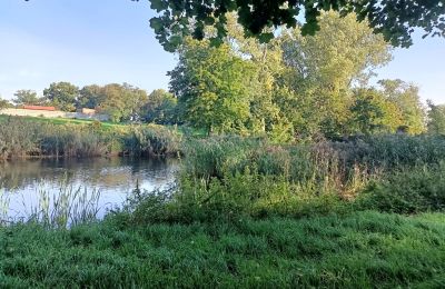 Herrenhaus/Gutshaus kaufen Goniembice, Dwór w Goniembicach, Großpolen:  Teich/See