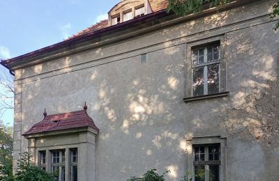 Villa padronale in vendita Osieczna, Grande Polonia, Dettagli