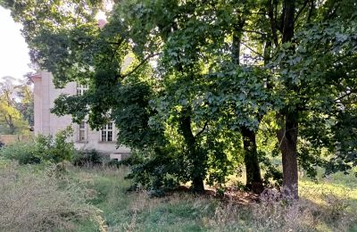 Herrenhaus/Gutshaus kaufen Osieczna, Großpolen:  Park