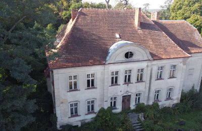 Villa padronale in vendita Osieczna, Grande Polonia, Foto con drone