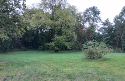 Herrenhaus/Gutshaus kaufen Brodnica, Großpolen:  Park