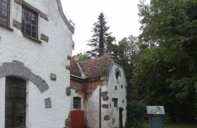 Villa padronale in vendita Brodnica, Grande Polonia, Foto 7/12