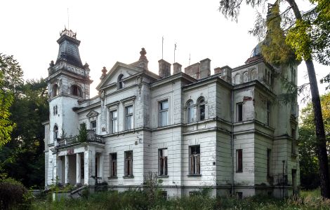  - Palast in Wola Boglewska