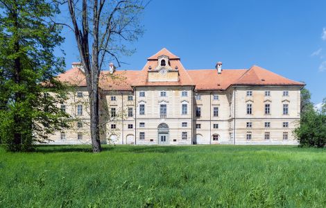 /pp/cc_by_nc_sa/thumb-si-novo-celje-castle.jpg