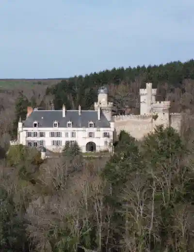 Castello medievale Ricerca immobiliare 2025
