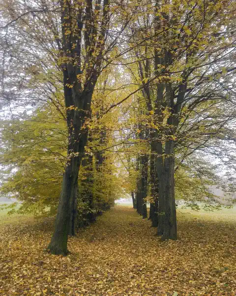 Historischer Park Liegenschaftsangebote Mai 2026