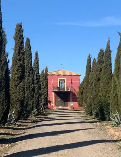 Offerte immobiliari a Spagna Castilla-La Mancha