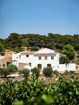 Historische Masía mit Weinbergen südlich von Barcelona, Masllorenç, Katalonien
